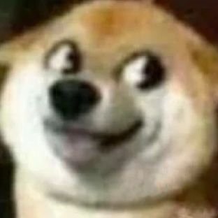 SKZs888's profile picture. 