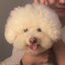 Hibi 🌻 (@godgunism) Twitter profile photo Hibi 🌻 (@godgunism) Twitter profile photo