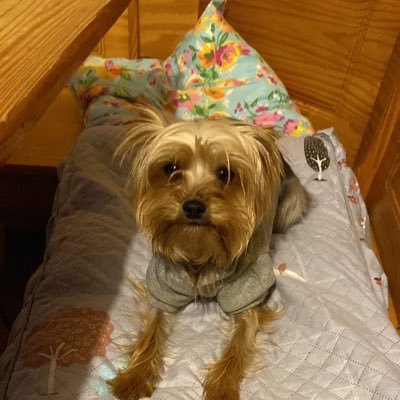 MarcelaP18572's profile picture. 