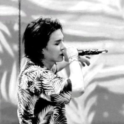 HybeInsights's profile picture. 