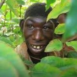 double_dropped's profile picture. Monkeys over people