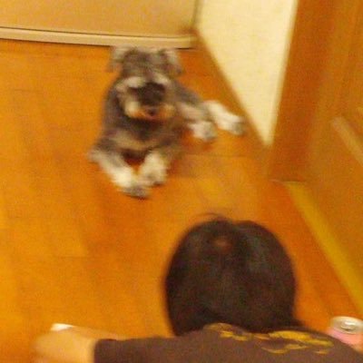紅義(アカギ) ぎっちょん。バセドウ病治療中さんのプロフィール画像