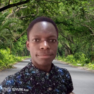 TibzDankan's profile picture. Passionate and Enthusiastic Full-stack developer (React | Nodejs)