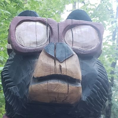 MartinH09233842's profile picture. Happily married, no DM's!!  
Be the person your dog thinks you are. 
Democrat and proud of it!  #Resisters #RecoveryPosse #AdoptDontShop #ProChoice