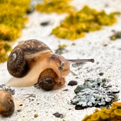 Ton1_0p's profile picture. 