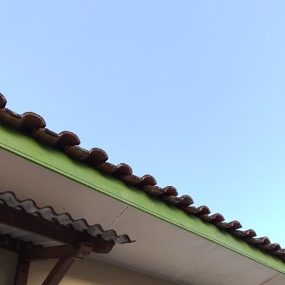 vrshaes's profile picture. #TWICE