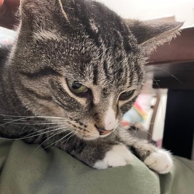 ethbacl's profile picture. 热爱加密，喜欢研究，寻找风险小而收益高的链上项目