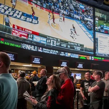 webpoll4sports's profile picture. 