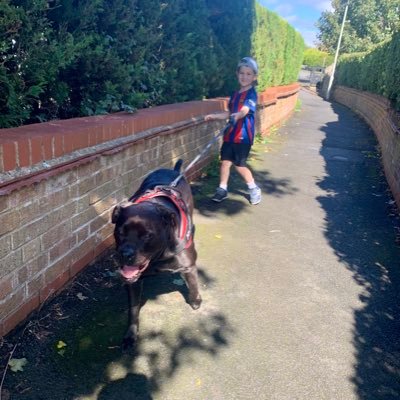 chris63141984's profile picture. 