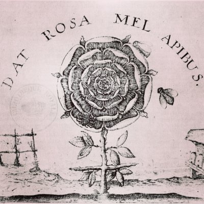 Dat Rosa Mel Apibus