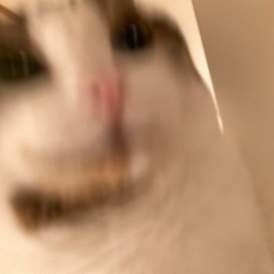 hhiissuuiiiiii's profile picture. あまりにも雑多/無言フォローすみません！