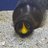 iiii0702's profile image