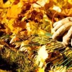 Vancouver1308's profile picture. 