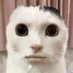 ムラサキピクミソ (@qiritsumo_yt) Twitter profile photo ムラサキピクミソ (@qiritsumo_yt) Twitter profile photo