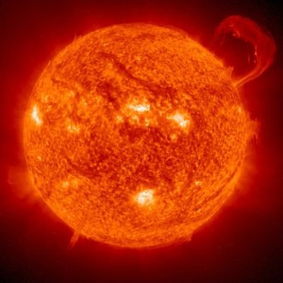 tollnok's profile picture. Shall I go? Should I stay?