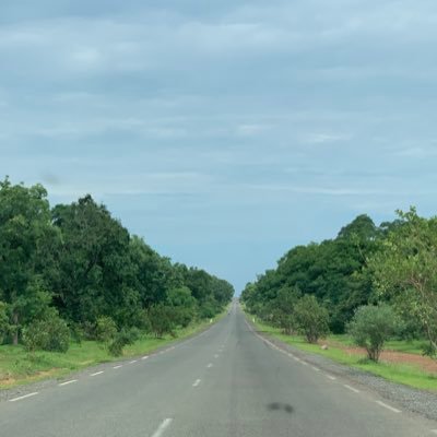 diallotelly08's profile picture. Expert en suivi et évaluation