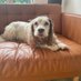 Josie Scott (is on a break to write) (@josiem_scott) Twitter profile photo Josie Scott (is on a break to write) (@josiem_scott) Twitter profile photo