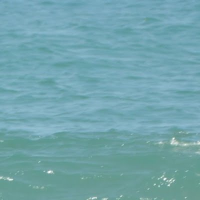 ziv_madar29224's profile picture. 