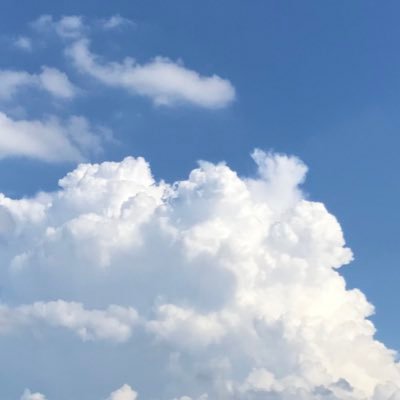 mori_indigo's profile picture. 🫧💭