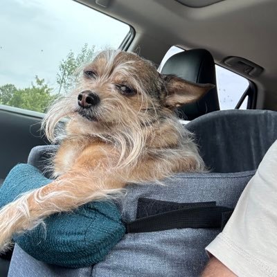 cowboy93k's profile picture. 