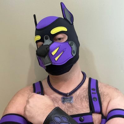 SlingSlutPup