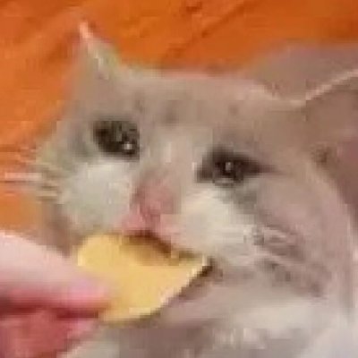 kaniya333444's profile picture. ♦️