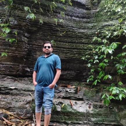 ErNirajkumar84's profile picture. 