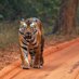 Vishwa Kiran (@vishwak) Twitter profile photo Vishwa Kiran (@vishwak) Twitter profile photo
