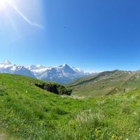 Elfriton (@elfriton) 's Twitter Profile
