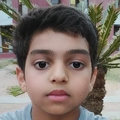 arrax07's profile picture. Software Developer | ⌨️🐒