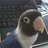 roldising's profile image