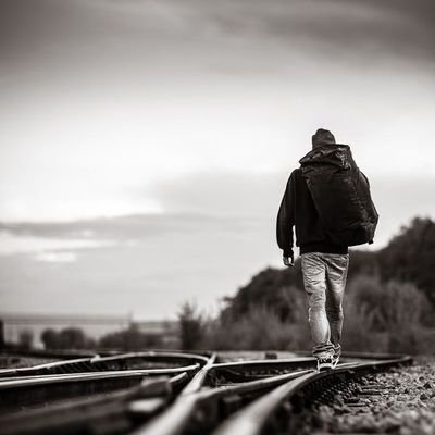 fibonacinew's profile picture. 