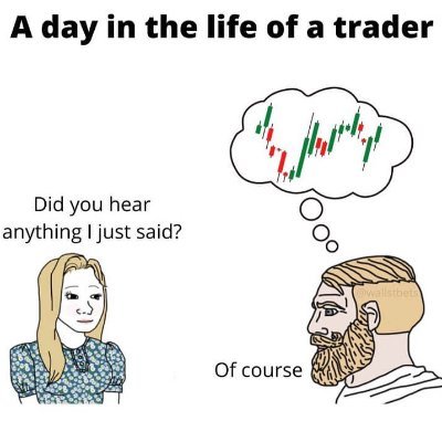 Where the fun begins. Make your trading career more interesting 🐻🐻

#trading #tradingmemes #tradinglife #crypto #forex #forextrading #traders