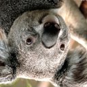 Caleb Tippit - @TippitCale70266 - Twitter