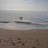 Tracy Robertson (@trobertson42) 's Twitter Profile