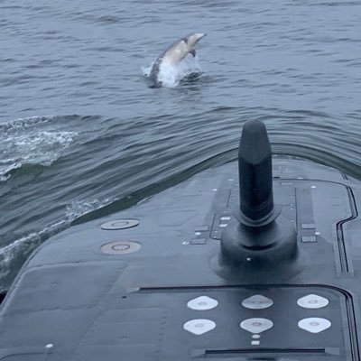 Naval nut that works with navies around the world as a master logistician. love all types of vessels of all nations, and museumships 🇬🇧 🇨🇦