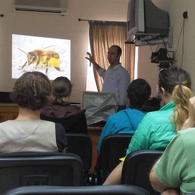 Perit, amateur astronomer (planetary imaging), climate change and light pollution researcher, beekeeper, husband and father (not necessarily in that order).