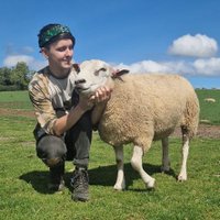VeganAyrto Ⓥ (@_veganayrto) 's Twitter Profile Photo VeganAyrto Ⓥ (@_veganayrto) 's Twitter Profile Photo