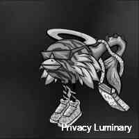 Privacy Luminary (@luminaryprivac) 's Twitter Profile