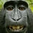 MICHUAS's profile image