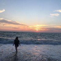 Linda (@carrolllinda96) 's Twitter Profile