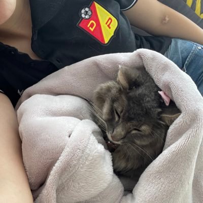 Mmcs_037's profile picture. 07/12/22 💛❤️