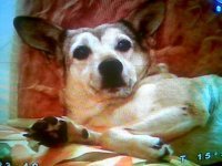 Fatigaargento's profile picture. Hago, Digo, Hablo y Pienzo lo que YO quiero