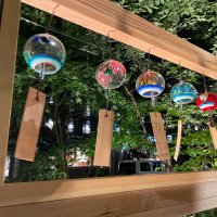 ふわこ💖人生楽しんだもん勝ち✨️ (@kirafuwa68) 's Twitter Profile