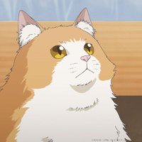 北海 (@tarerascal) 's Twitter Profile