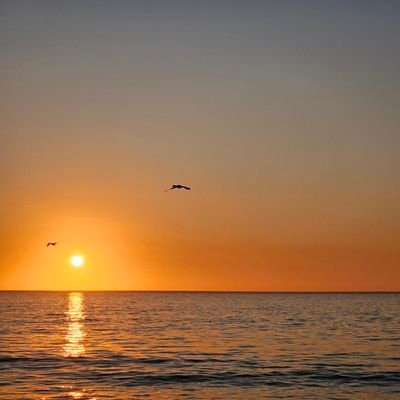 jlira75's profile picture. 