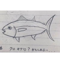 ケート (@seachicken_bz) 's Twitter Profile Photo