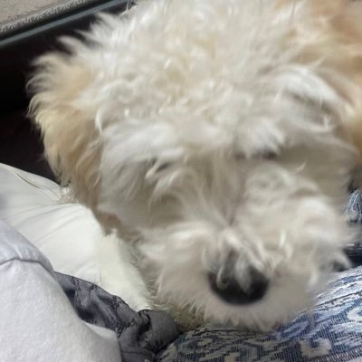 qq3540's profile picture. 