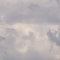 絹ごし豆腐 (@kuzuredofu) 's Twitter Profile Photo