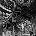 Colleen Ray - @zoehensleexo - Twitter